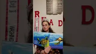 Alex the Sea Turtle by Chris Dawson