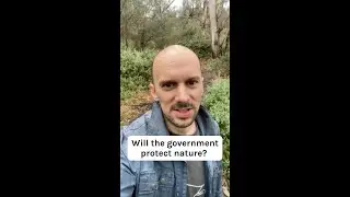 Will the Albanese government protect nature?