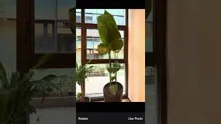 the best AI plant identifier 🪴 #plantslover ##plantidentification #genie