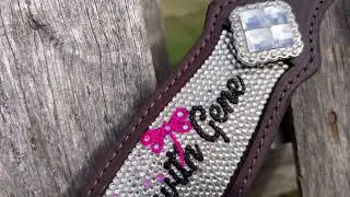Crystal dragonfly breastcollar