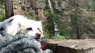 AMAZING MULTNOMAH FALLS - Corbett, Oregon. MUST WATCH!