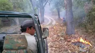 Controlled burning to create fire lines - Sharad Vats