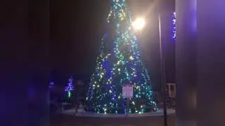 Safari Louie&rsquo;s Christmas Montage 2020