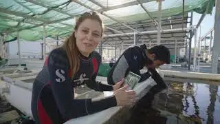 What is the Eye on the Reef? | Great Barrier Reef Marine Park Authority