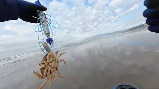 Dungeness Crabbing at Ocean Beach | 2026-01-27