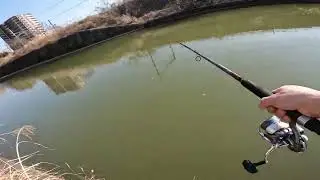 Săn H&agrave;ng Khủng Bằng Ba Ti&ecirc;u [M&ograve; Mẫm JP TV］魚がたくさんすぎて大きすぎる