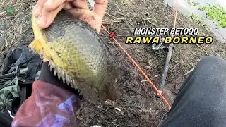 MONSTER BETOQ !!! SIAPA SANGKA MANCING DIRAWA KALIMANTAN ADA MONSTER BETOK NYA