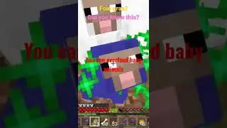 how to make baby animals grow up instantly in Minecraft #shorts