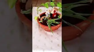 DIY miniature garden/Fairy garden making/Tray gardening ideas#shorts #miniaturegarden #gardendecor