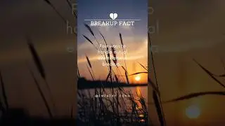 4 ways to handle mutual events after a breakup... #shorts #youtubeindia #breakupfacts #breakupquotes