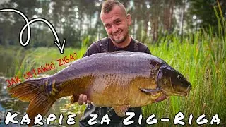 Jak ustawić Zigaaa? Karpie na Zig-Riga - Vlog18