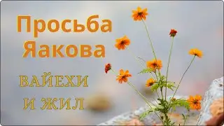 Глава: Вайехи-И жил-Просьба Яакова похоронить его в Эрец Исраэль - Яаков Благословляет... #религия