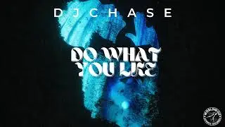 DJ Chase - Do What You Like (Official Audio)
