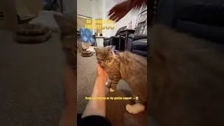 Я ТАК СЧАСТЛИВАА ...