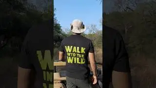 Get Ready for the WILDEST T-Shirt You'll Ever Wear
