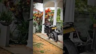 Best Modified FZ250 ❤️ #motorcycle #youtubeshorts #fz250 #motorbike #yamaha