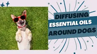 Diffusing Essential Oils around Dogs