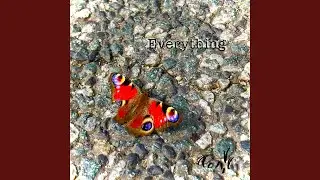 Everything