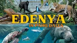 Edenya Review: The Largest Tropical Hall &mdash; Is It Worth the Hype?