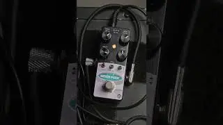 Dynamic Trem/Phaser w/ the Pigtronix Moon Pool #pedalboard