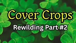 Cover Crops - Rewilding The Land #2