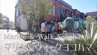 Take a walk in MARINE & WALK YOKOHAMA (shopping mall)/マリン&ウォークヨコハマを散歩