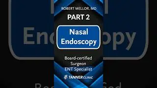 Dr. Mellor Describes and Performs A Nasal Endoscopy - Tanner Clinic Part 2 #shorts