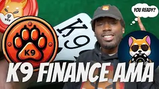 K9 Finance AMA с Декабрь ДеМарко