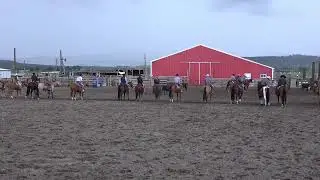 2023 LIVE PREVIEW Shelman Family Horse Sale
