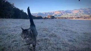 Wairau valley.. Marlborough.. 💜 .. home 😘