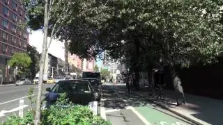 The Green Benefits of NYC Protected Bike Lanes