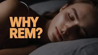 Why REM Sleep is Important? The Brain&rsquo;s Deepest Workshop