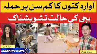 Awaran Kutton Ka Bachi Par Hamla | Stray Dogs | BOL News