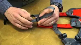 Ruffwear: How To Fit The Web Master Harness | AvidMax