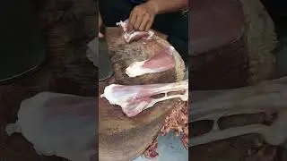 Mutton Raan Cutting Skills #shortsfeed #imrankhan #chullachoontra #indianmuttonrecipe #lahorefoodies