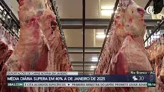 Exportações de carne bovina crescem 40% em janeiro
