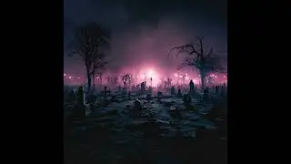 Akvilla - SENSE