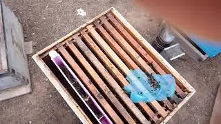 نعطيك بعض النصائح في الصيف من ناحية القسمة ومن ناحية تقوية الخلايا