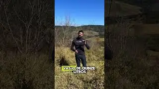 Pulveriza&ccedil;&atilde;o com drone em pastagem, &eacute; eficiente?? Confira esse resultado!!
