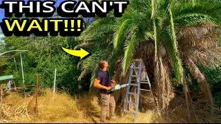 THIS IS HER WORST NIGHTMARE!