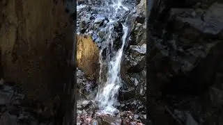 Hemlock Falls in South Orange, New Jersey #shorts@Janets4K