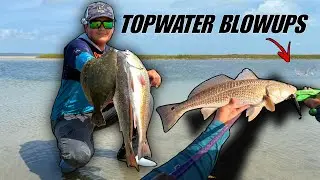 Fish Were CRUSHING Our Baits!! Fishing Grass Flats