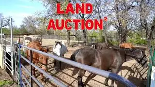 North Texas Real Estate Auction , 399 Woodland Drive Copper Canyon Tx.