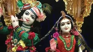 #अमृत कि वर्षा हो रही मेंरे गोविंद के दरबार में...।।कृष्ण भजन। ।#bhagti #2023🙏🌺🙏👏
