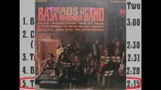 The Cry of the Wild Goose -- Baja Marimba Band