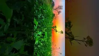 Pyaar ka #Bandhan #Hi A stat Us reel #Sort #video #VishviOfflcial #reelfoolsshorts63