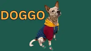 Сборник DOGGO - Том 2