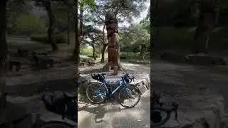 Cycling (bike packing) from Sangju Bo to Andong in South Korea. #cycling #bikepacking #leaves