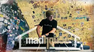 madhou5e - Alphasheep