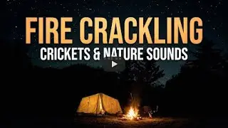 Deep Sleep Nature Sounds: Crackling Campfire & Night Buzzing - 11 Hours